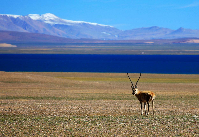 西藏阜康医院 西藏阜康医院