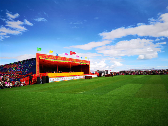 西藏阜康医院 西藏阜康医院