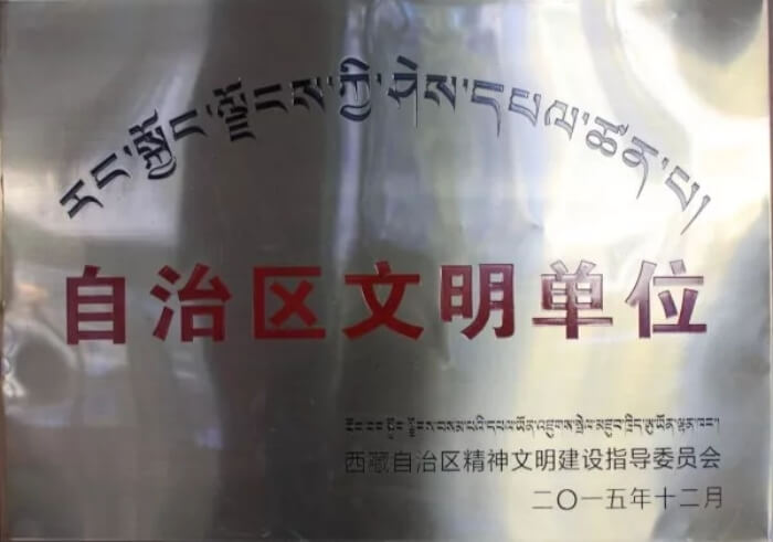 西藏阜康医院