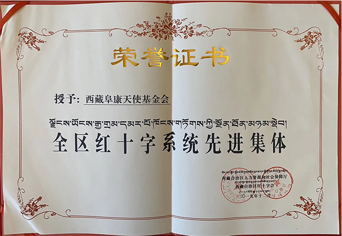 西藏阜康医院 西藏阜康医院