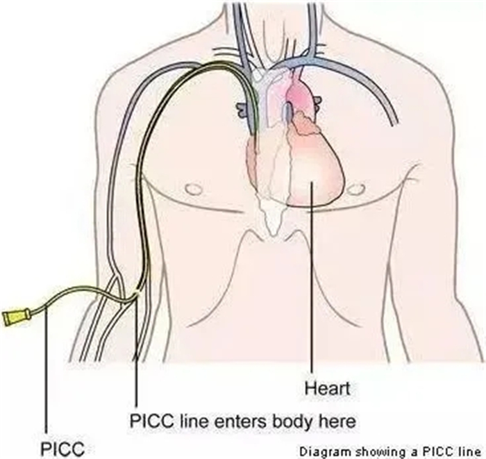 西藏阜康医院 西藏阜康医院