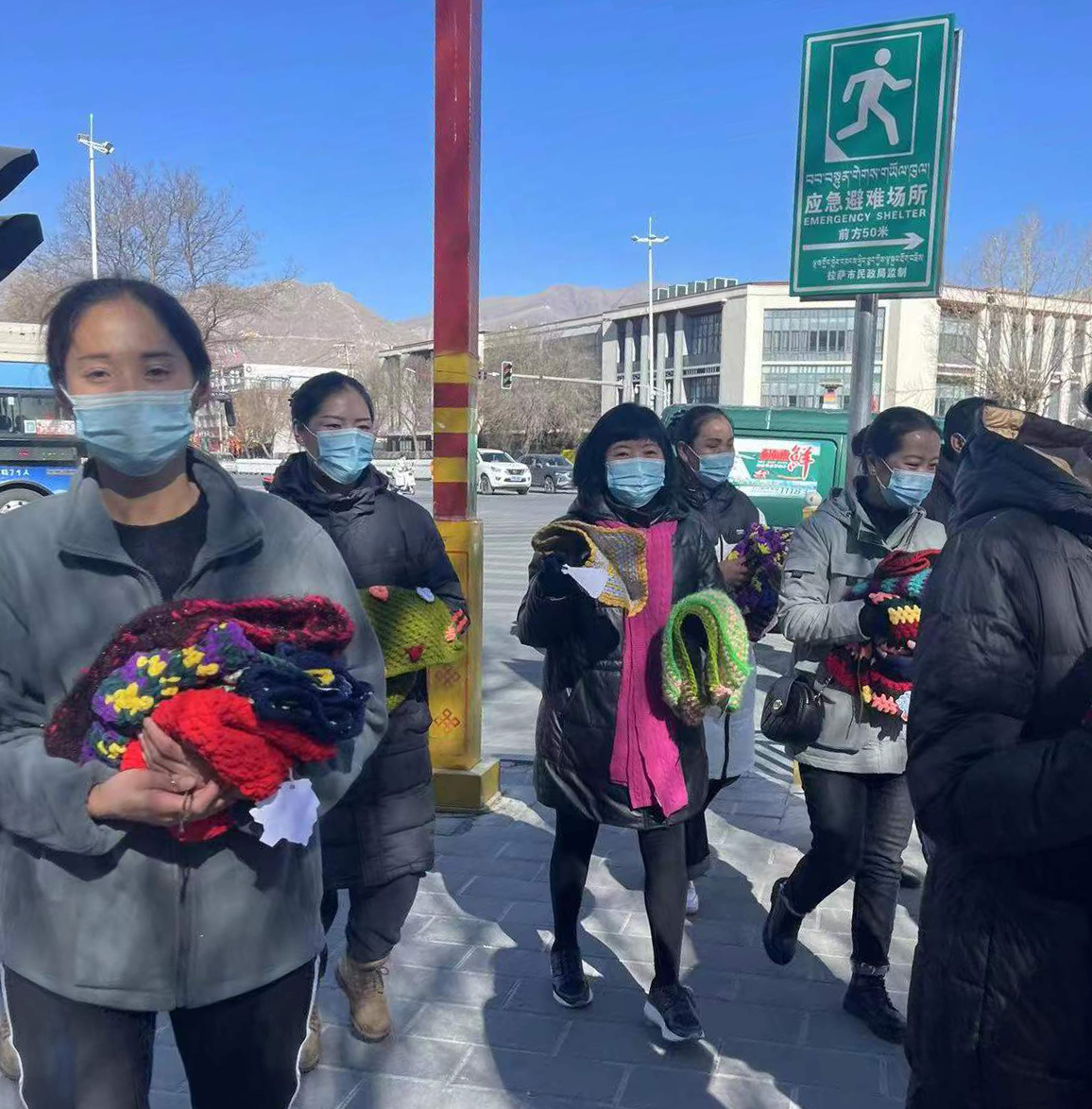 这个冬天，温暖不停止——给小树穿冬衣