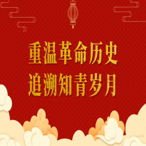 阜康医院党支部林周知青农场参观活动