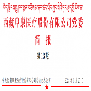 西藏阜康医疗股份有限公司党委 组织观看助残文艺汇演（第13期）