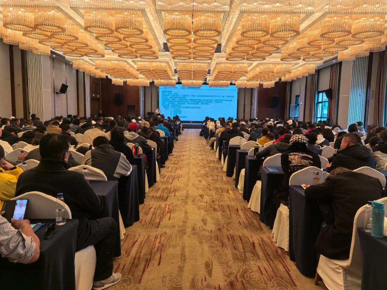 西藏阜康医院助力：2025年春季自治区持证导游岗前培训圆满收官