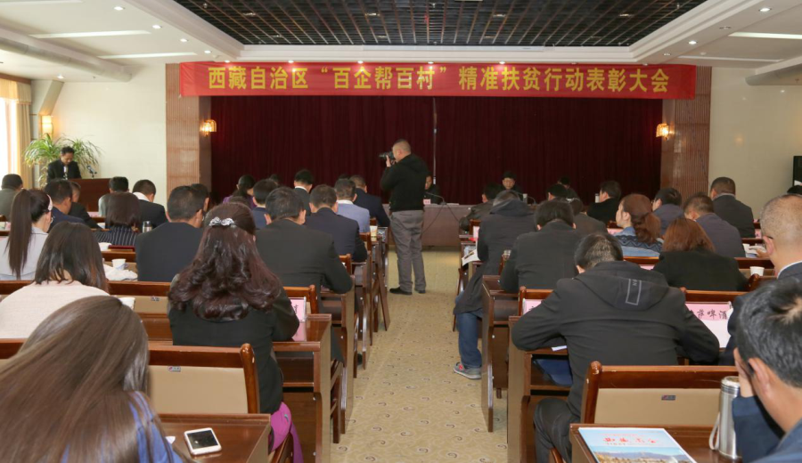 百企帮百村 阜康在行动——西藏阜康医疗股份有限公司荣获西藏“百企帮百村”精准扶贫行动“先进民营企业”称号
