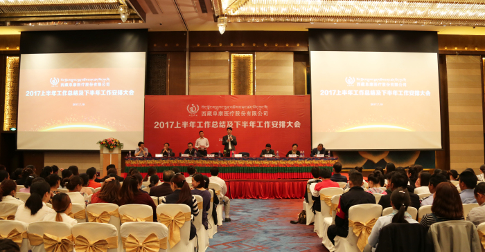 2017年西藏阜康医疗股份有限公司上半年工作总结及下半年工作安排大会