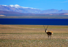 阜康送医送药在行动——走进荣玛乡高海拔生态搬迁点