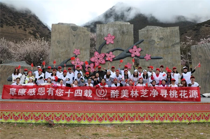 阜康医疗“2019净寻桃花源”拓展活动圆满结束