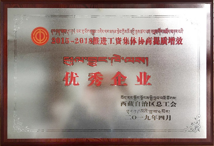西藏阜康医疗股份有限公司荣膺“2015—2018推进工资集体协商提质增效优秀企业”！