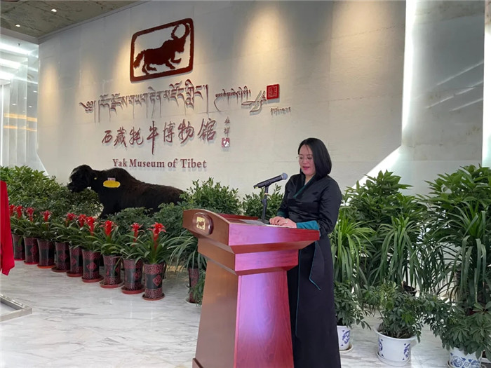 曾绘阜康医院的画家子白,她的“大美至纯”油画展开幕了