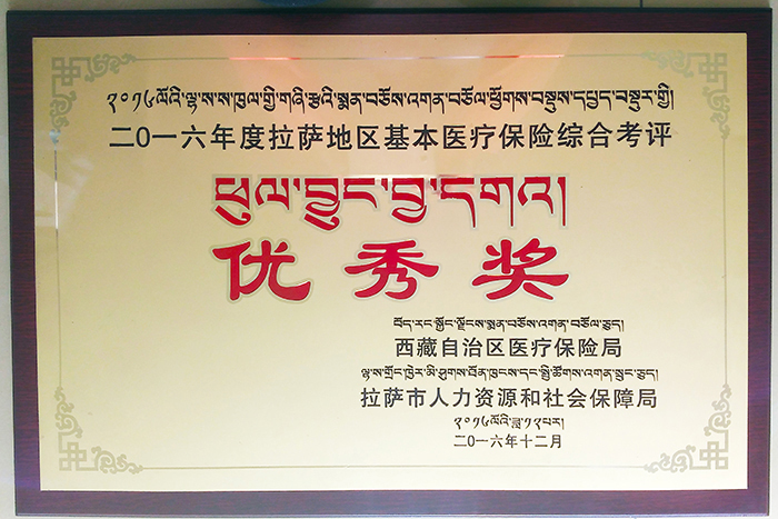 热烈祝贺西藏阜康医院荣获地区基本医疗保险综合考评“优秀奖”