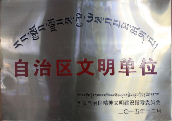 阜康医院荣获“自治区文明单位”称号